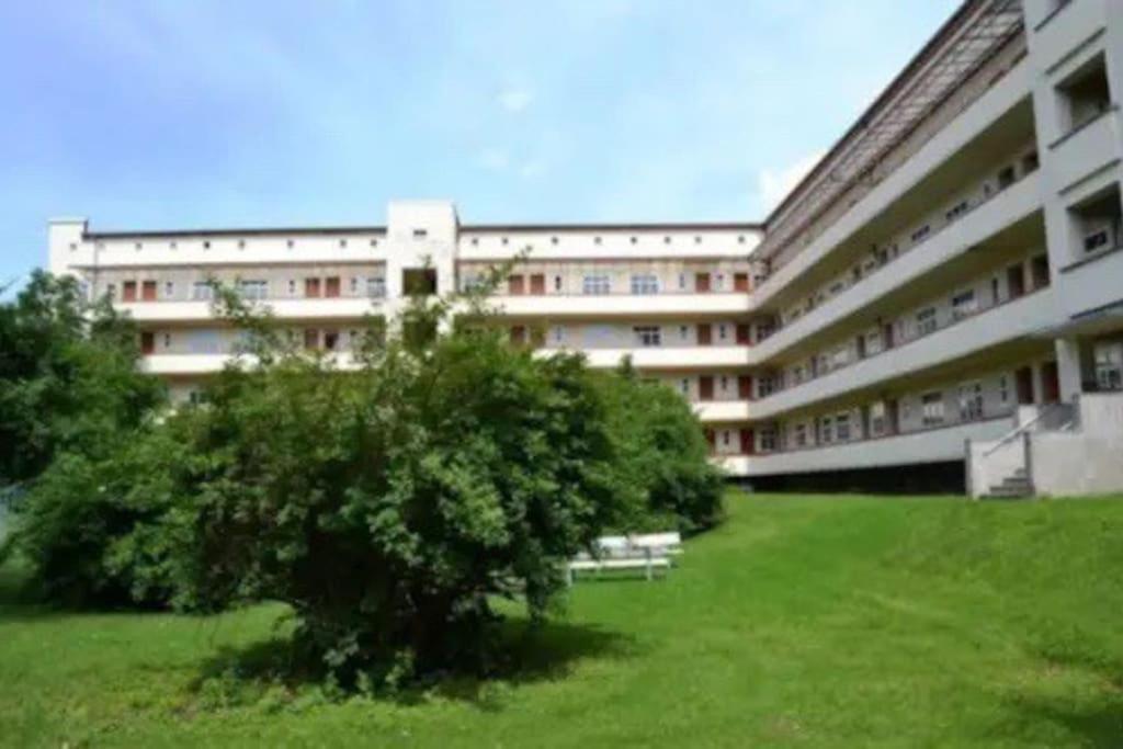 Zentrumsnahes Monteurszimmer Erfurt Eksteriør billede